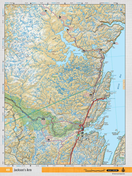 NFLD49 Wall Map - Jackson's Arm - Backroad Maps