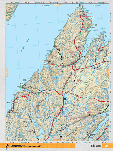 NFLD50 Wall Map - Backroad Maps