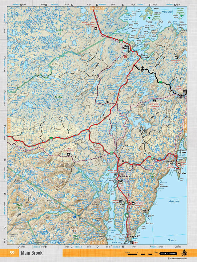 NFLD59 Wall Map - Main Brook - Backroad Maps