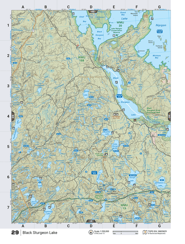 NWON29 TOPO Map - Black Sturgeon Lake - Backroad Maps