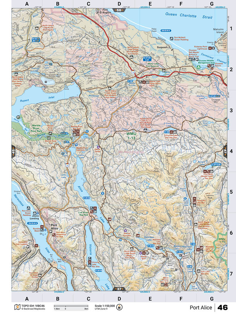 VIBC46 Wall Map - Port Alice - Backroad Maps