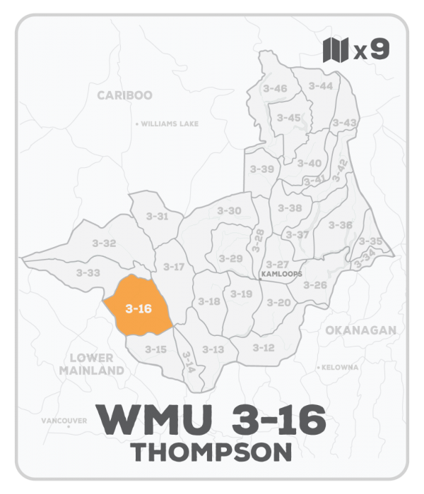 WMU 3-16 Hunting Bundle - Thompson Region BC (9 maps) - Hunting Bundle
