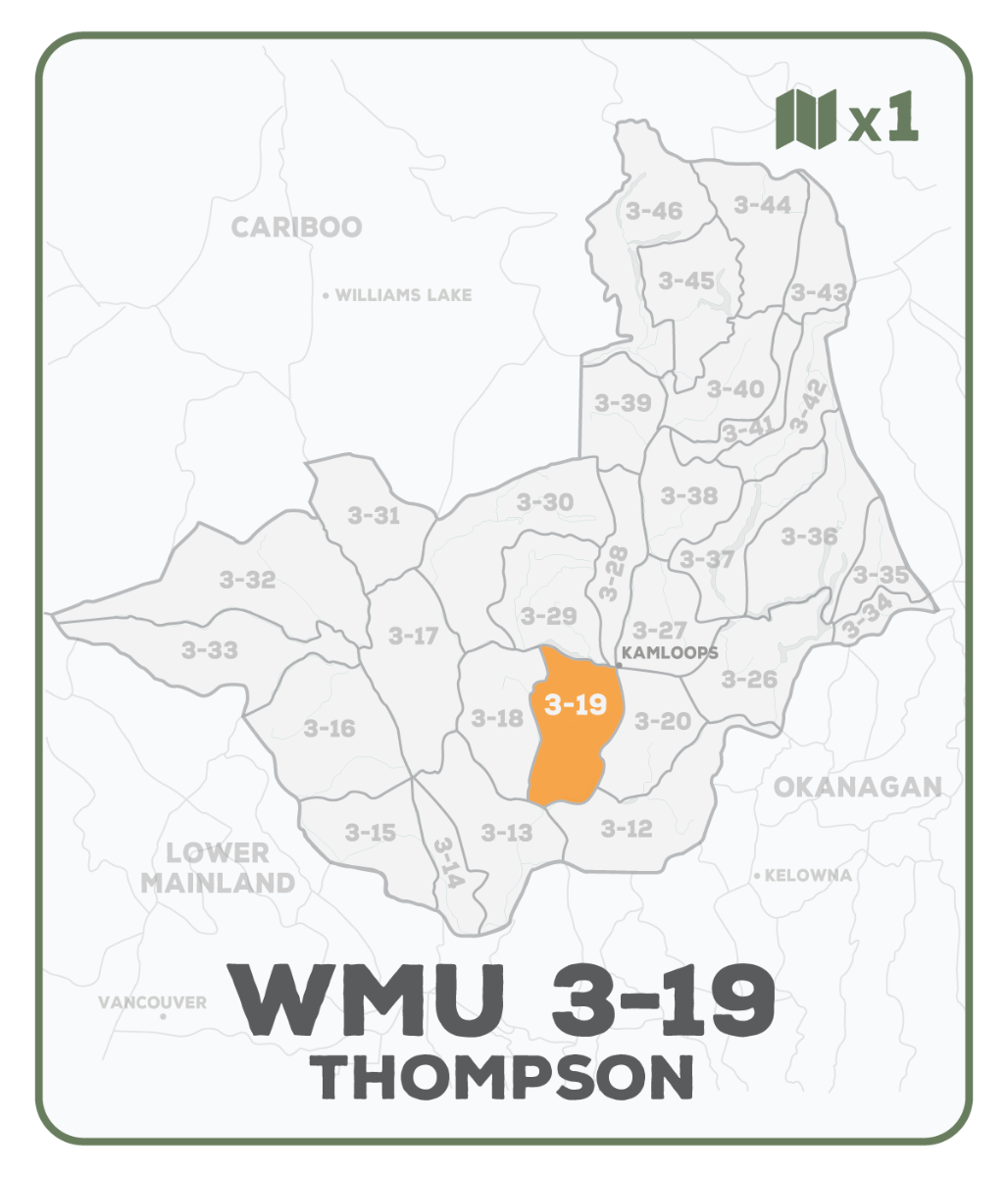 WMU 3-19 Thompson Region - Hunting Topo BC - Backroad Maps
