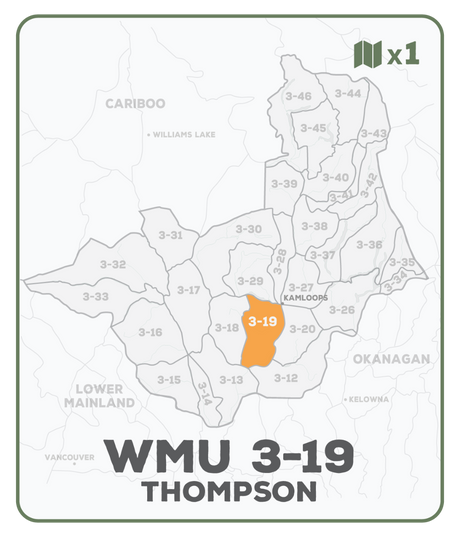 WMU 3-19 Thompson Region - Hunting Topo BC - Backroad Maps