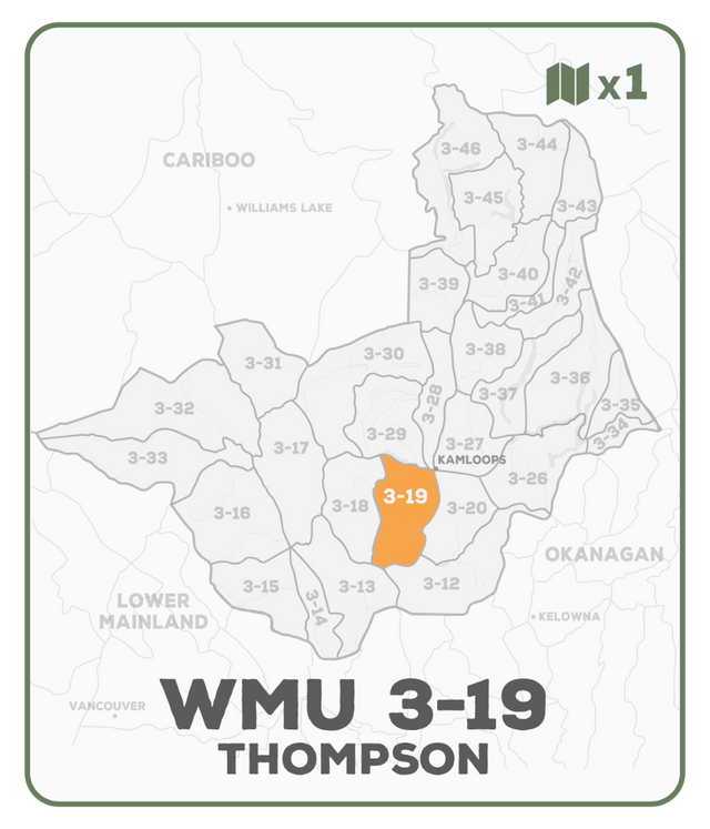 WMU 3-19 Thompson Region - Hunting Topo BC - Backroad Maps