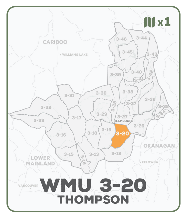 WMU 3-20 Thompson Region - Hunting Topo BC - Backroad Maps