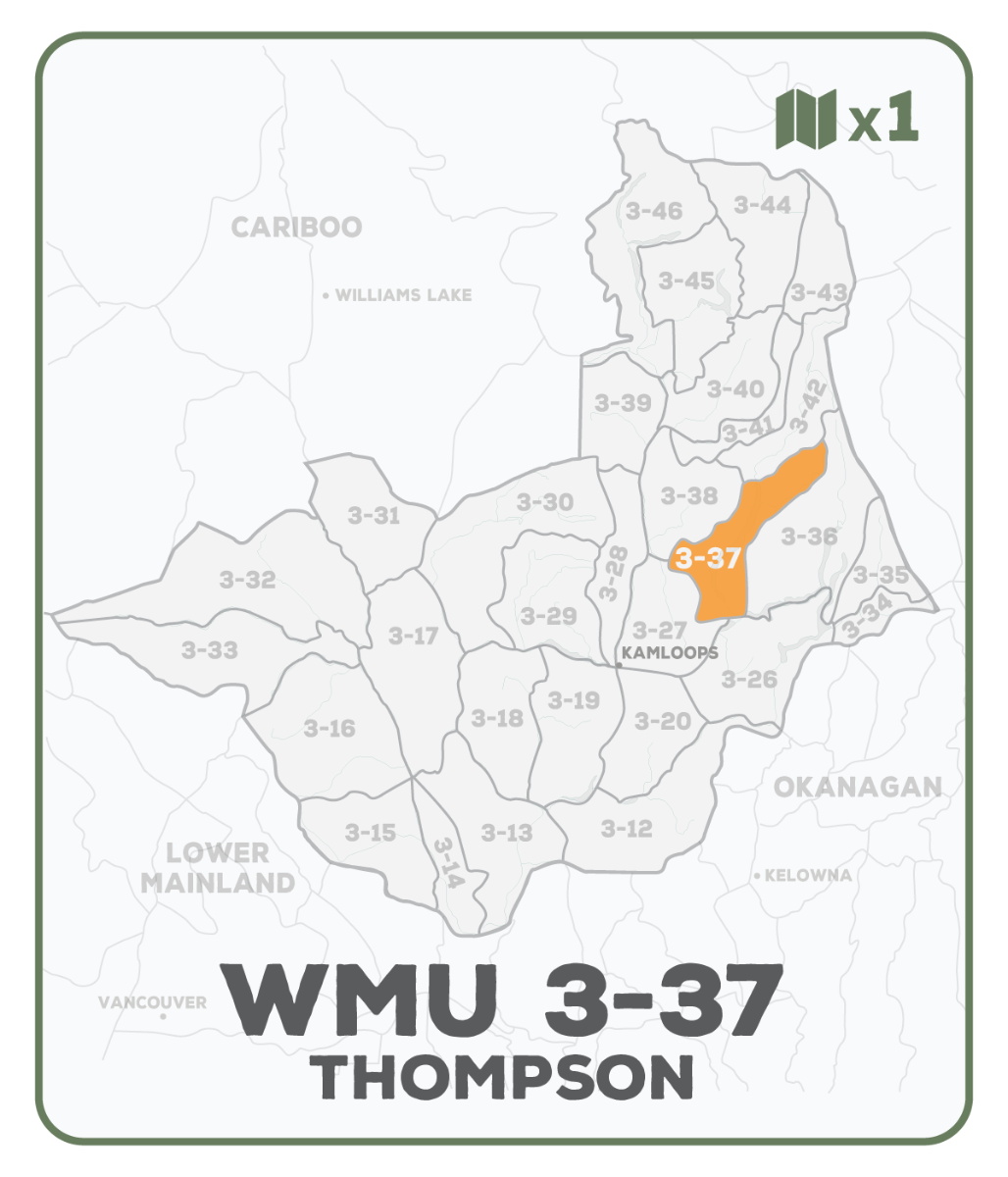 WMU 3-37 Thompson Region - Hunting Topo BC - Backroad Maps