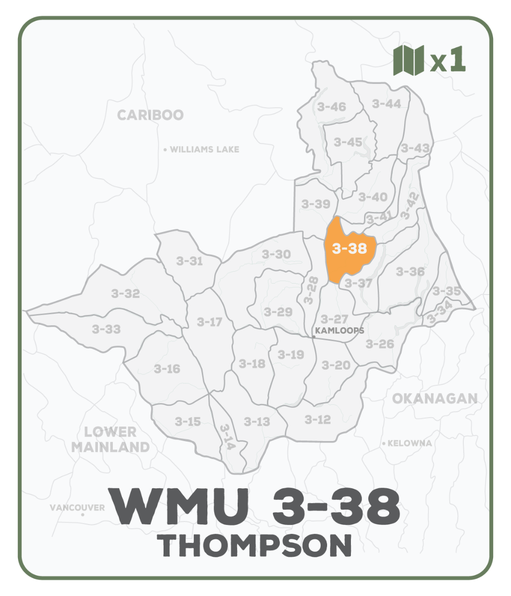 WMU 3-38 Thompson Region - Hunting Topo BC - Backroad Maps
