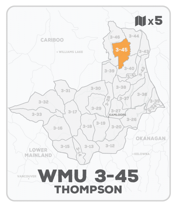 WMU 3-45 Hunting Bundle - Thompson Region BC (5 maps) - Hunting Bundle