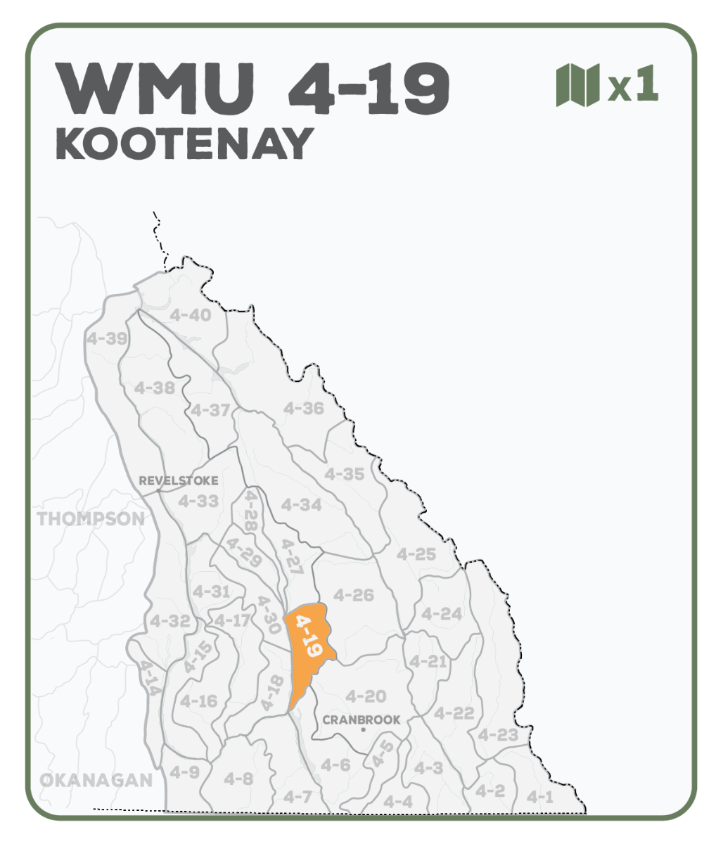 WMU 4-19 Kootenay Region - Hunting Topo BC - Backroad Maps