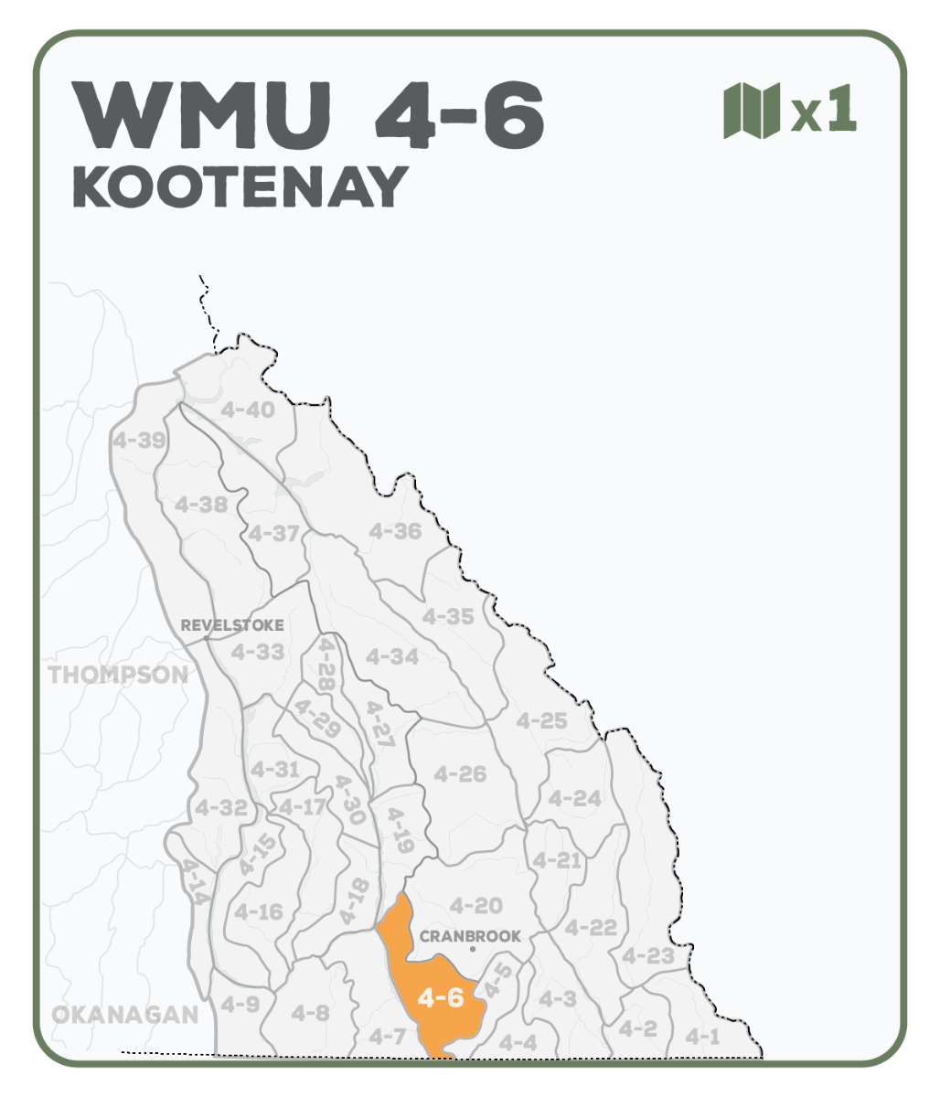WMU 4-6 Kootenay Region - Hunting Topo BC - Backroad Maps