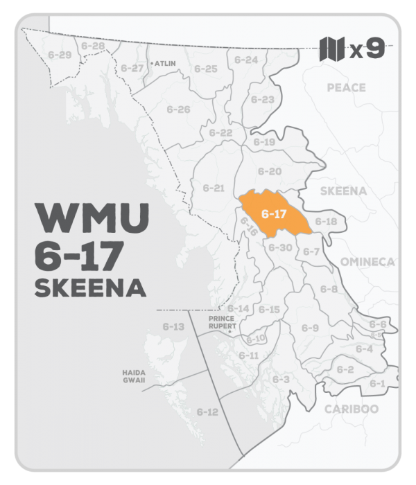 WMU 6-17 Hunting Bundle - Skeena Region BC (9 maps) - Hunting Bundle