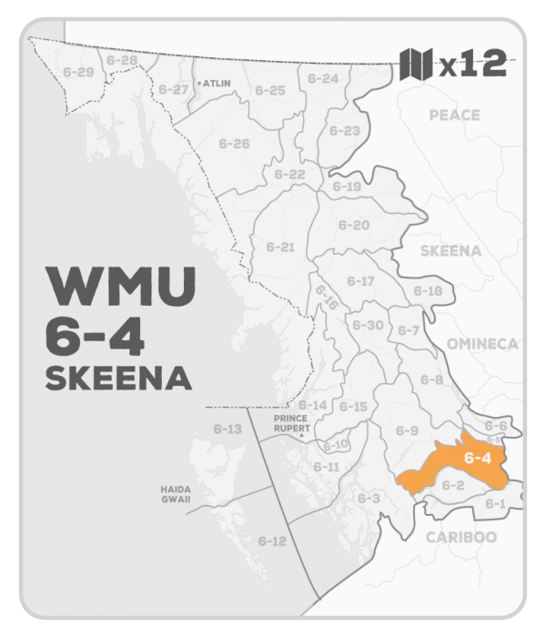 WMU 6-4 Hunting Bundle - Skeena Region BC (12 maps) - Hunting Bundle