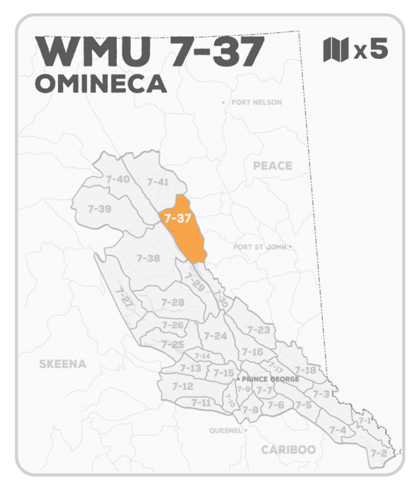 WMU 7-37 Hunting Bundle - Omineca Region BC - Backroad Maps