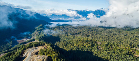 Gravel forest service road through the British Columbia backcountry