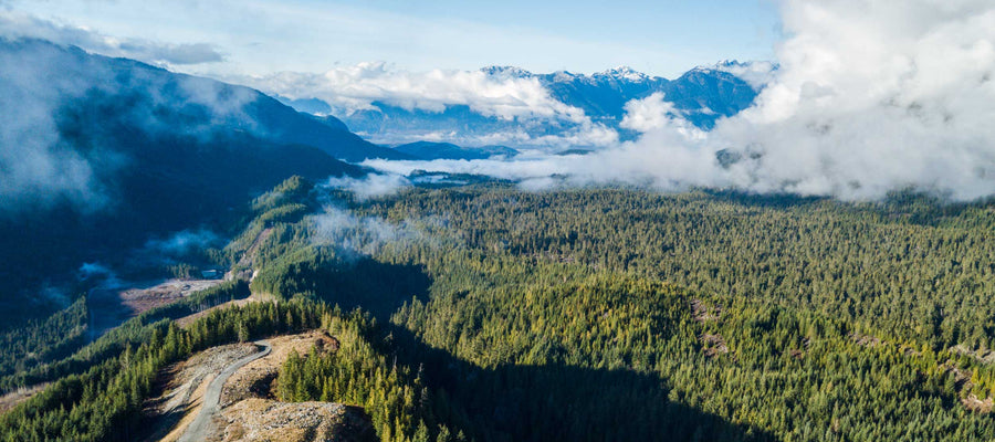 Gravel forest service road through the British Columbia backcountry