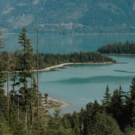 Things to Do in Harrison River Valley: Hiking, Fishing, Camping & More