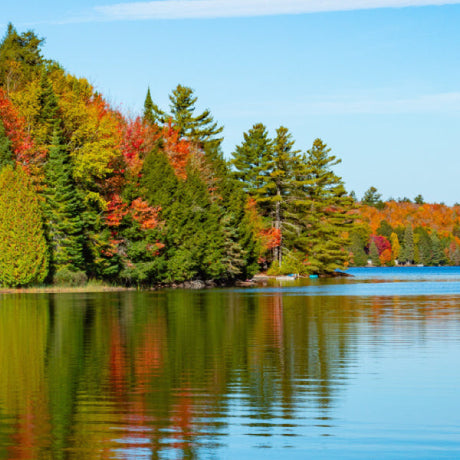 Algonquin Fall Colours: How to Plan the Perfect Autumn Adventure