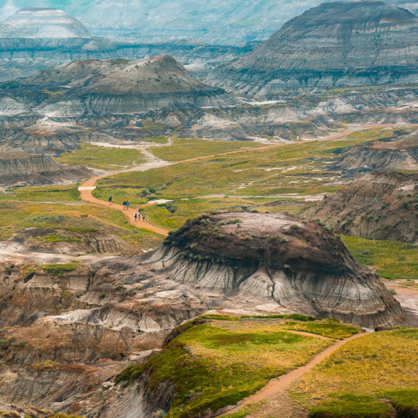 Drumheller to Dinosaur Provincial Park: The Best Outdoor Adventures on a Badlands Road Trip