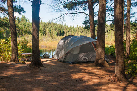 Highway 60 Corridor Camping: What to Expect
