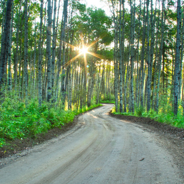 Saskatchewan ATV Trails: Best Places to Ride and Explore