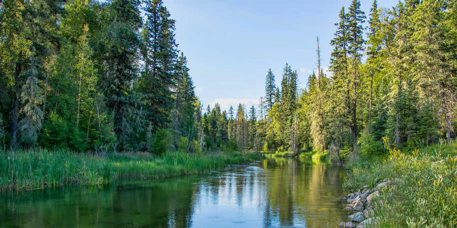 Backroads Saskatchewan: Hidden Outdoor Adventures You Didn’t Know Existed