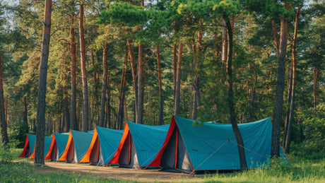 Crown Land Access in Canada: How to Find, Navigate & Camp It Legally (Province-by-Province)