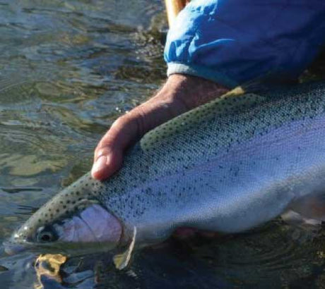 10 Must Fish Lakes in BC