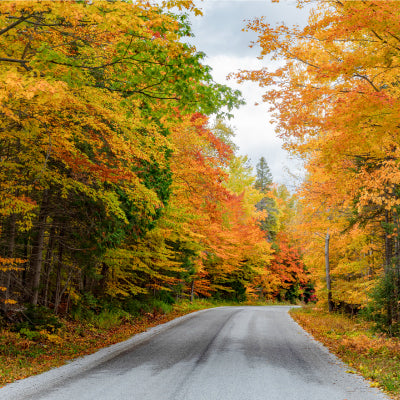 The Best Overland Exploring Route in Northeastern Ontario