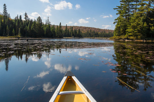 Where to Fish Along Highway 60 in Algonquin Park