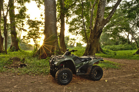 ATV on a designated trail in Canada