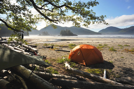 Best Provincial Parks on Northern Vancouver Island for Hiking, Camping & Paddling