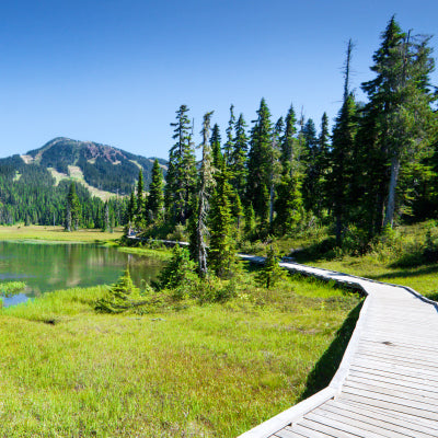 A Vancouver Island Treasure: Explore Strathcona Provincial Park