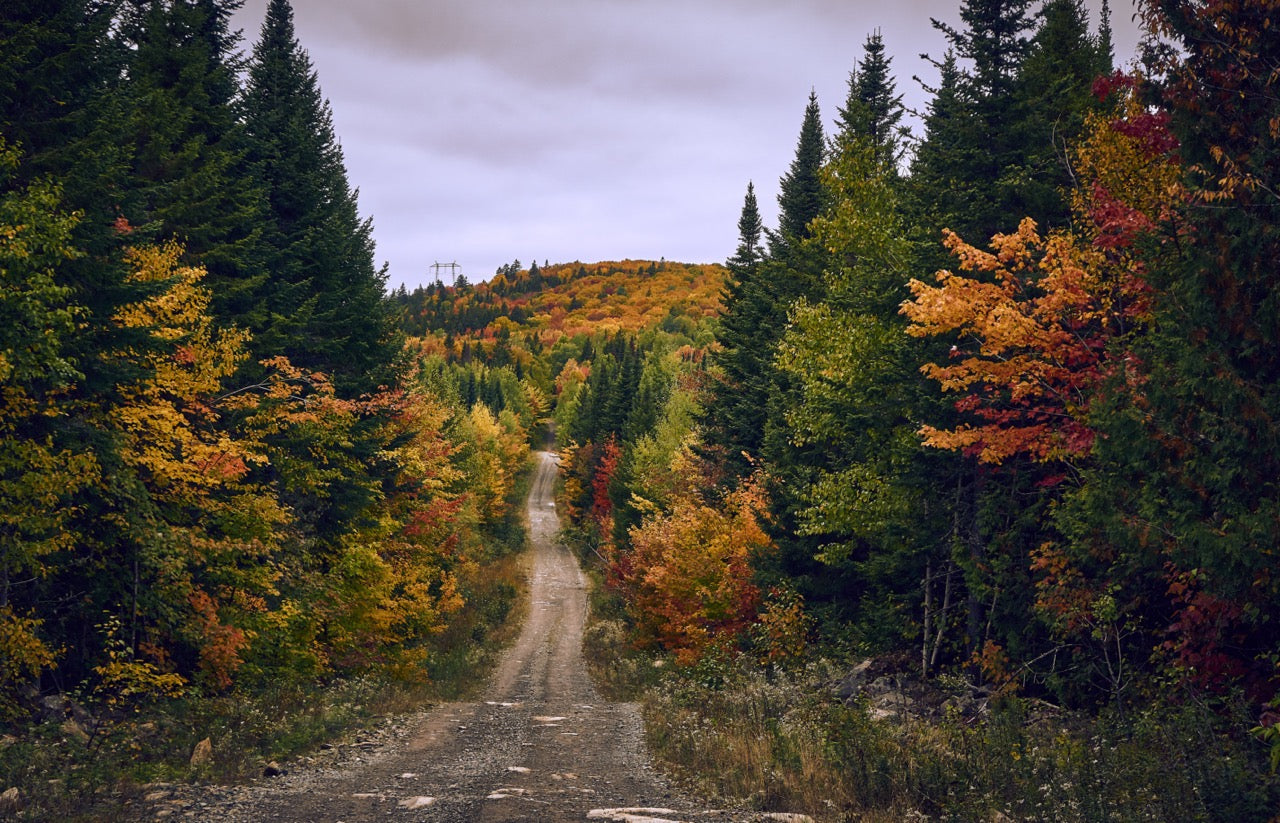 Maps for New Brunswick