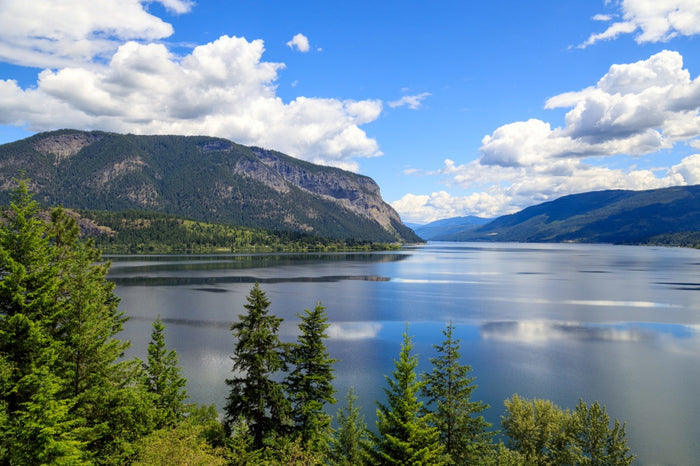 Maps for Thompson Okanagan BC