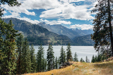 Maps for Washington State