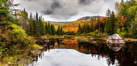 Maps for Quebec