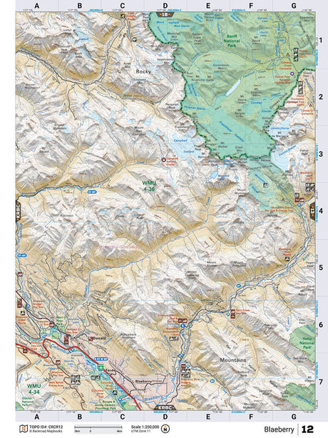 CRCR12 TOPO Map - Blaeberry - 