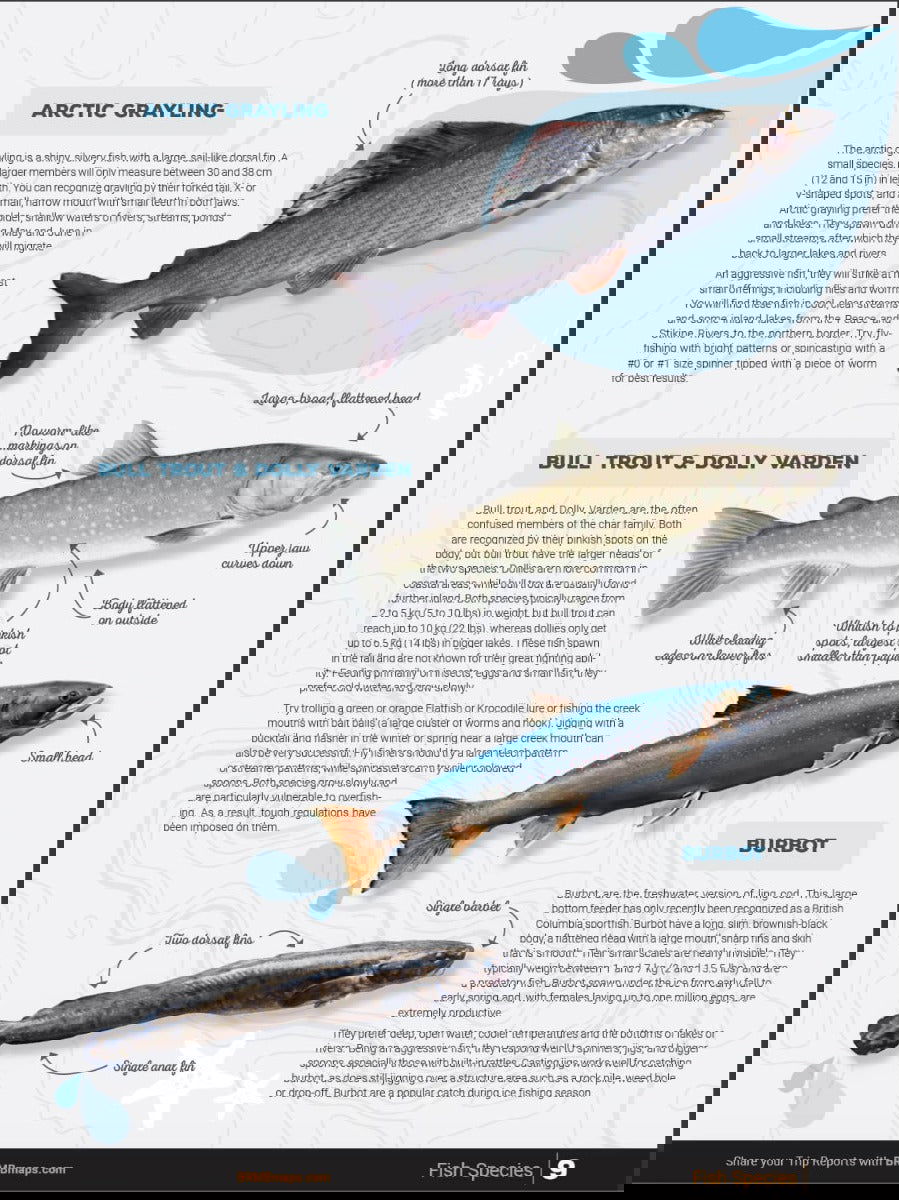 Cariboo Region BC Fishing Mapbook - Backroad Maps
