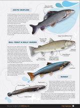 Cariboo Region BC Fishing Mapbook - Backroad Maps