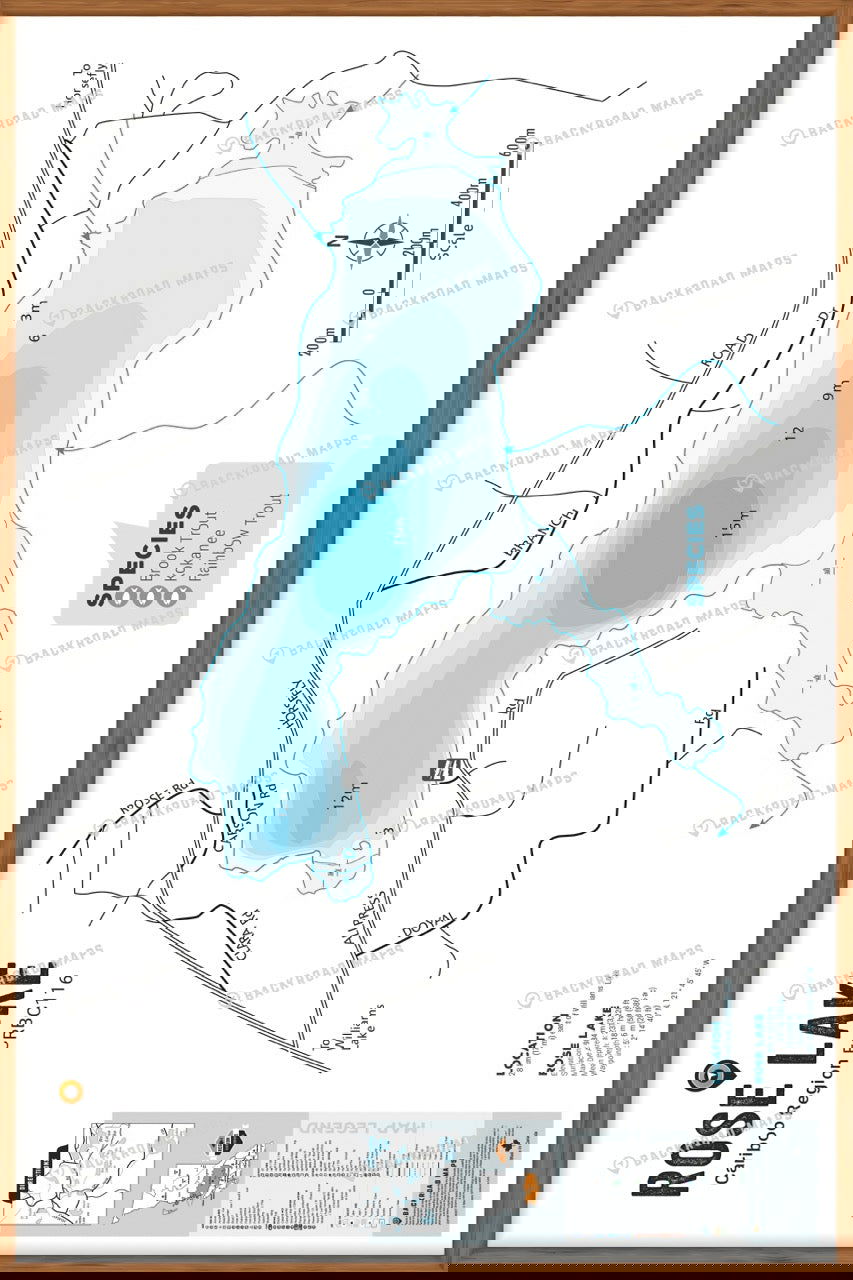 FCRBC116 Rose Lake  - Wall Map - Backroad Maps