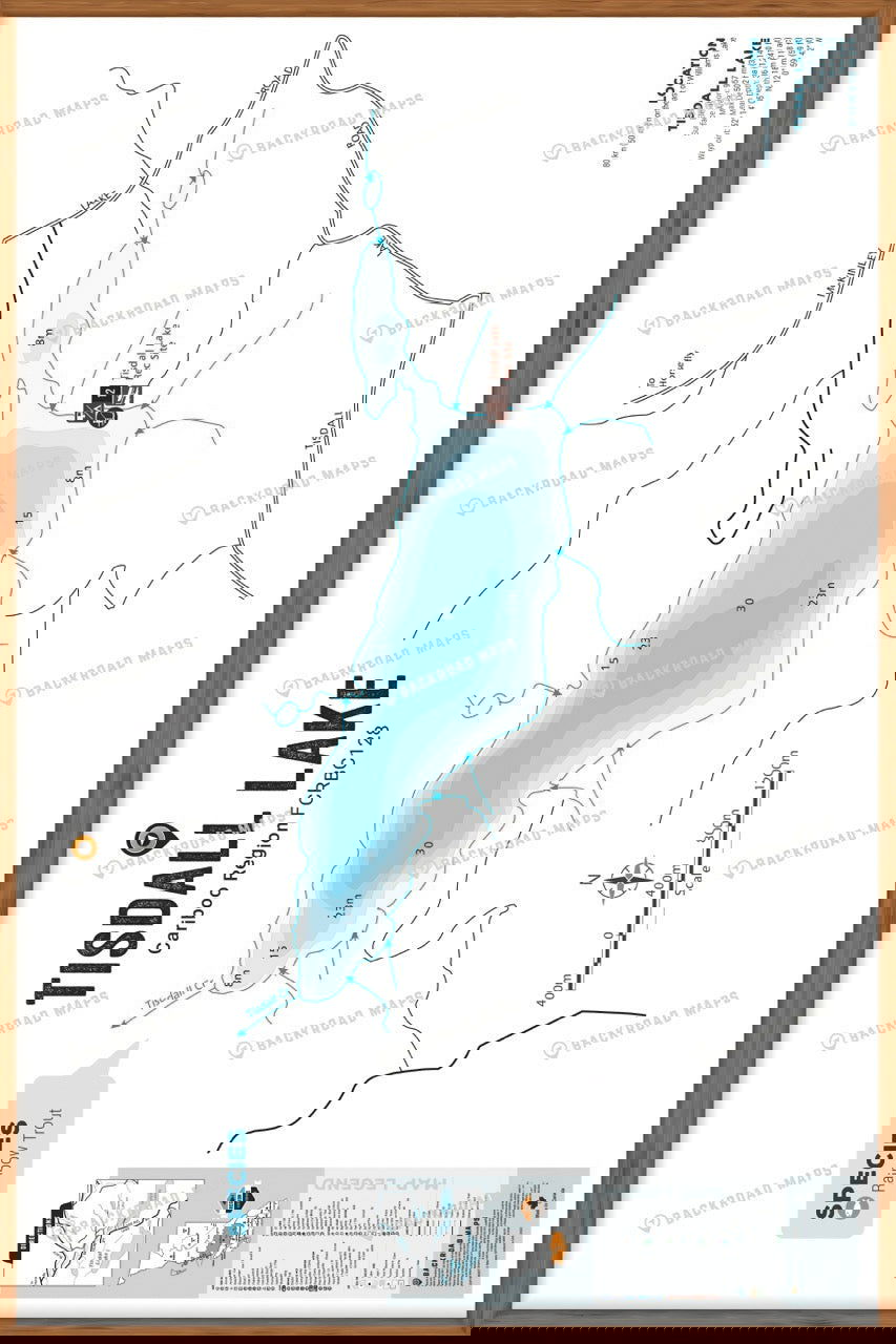 FCRBC128 Tisdall Lake  - Wall Map - Backroad Maps
