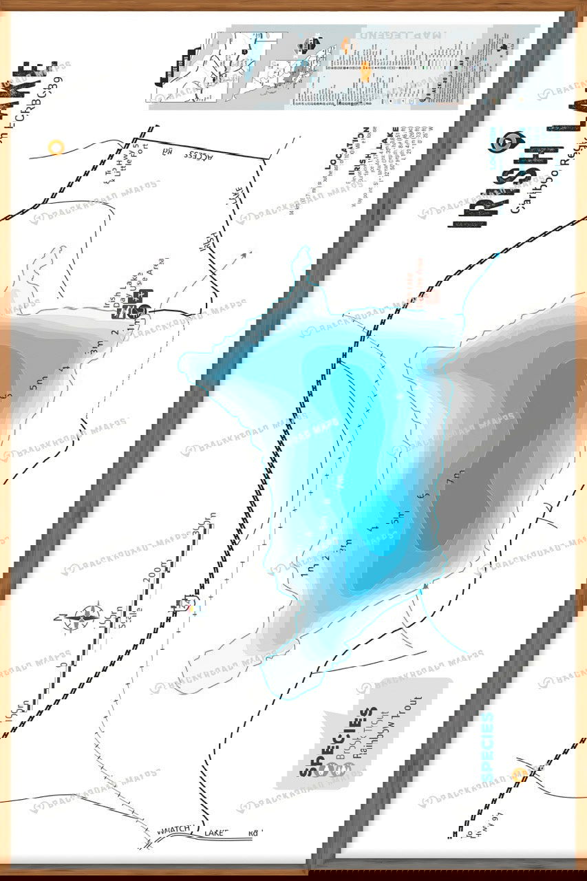 FCRBC89 Irish Lake  - Wall Map - Backroad Maps