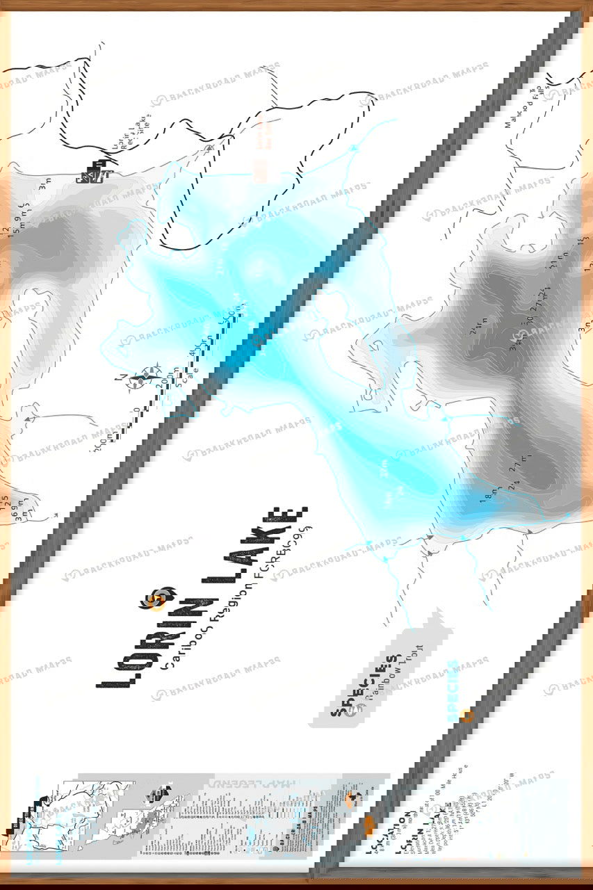 FCRBC99 Lorin (Airplane) Lake  - Wall Map - Backroad Maps