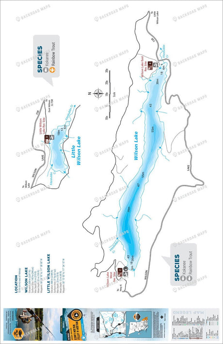 FKRBC119 Wilson & Little Wilson Lakes - Backroad Maps