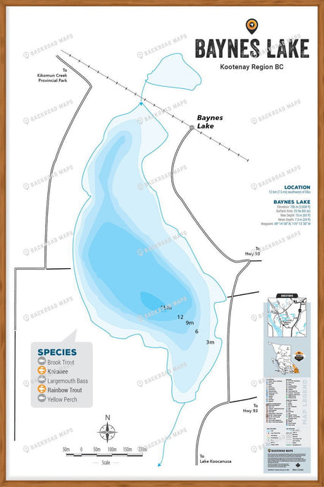 FKRBC24 Baynes Lake - Wall Map - Backroad Maps