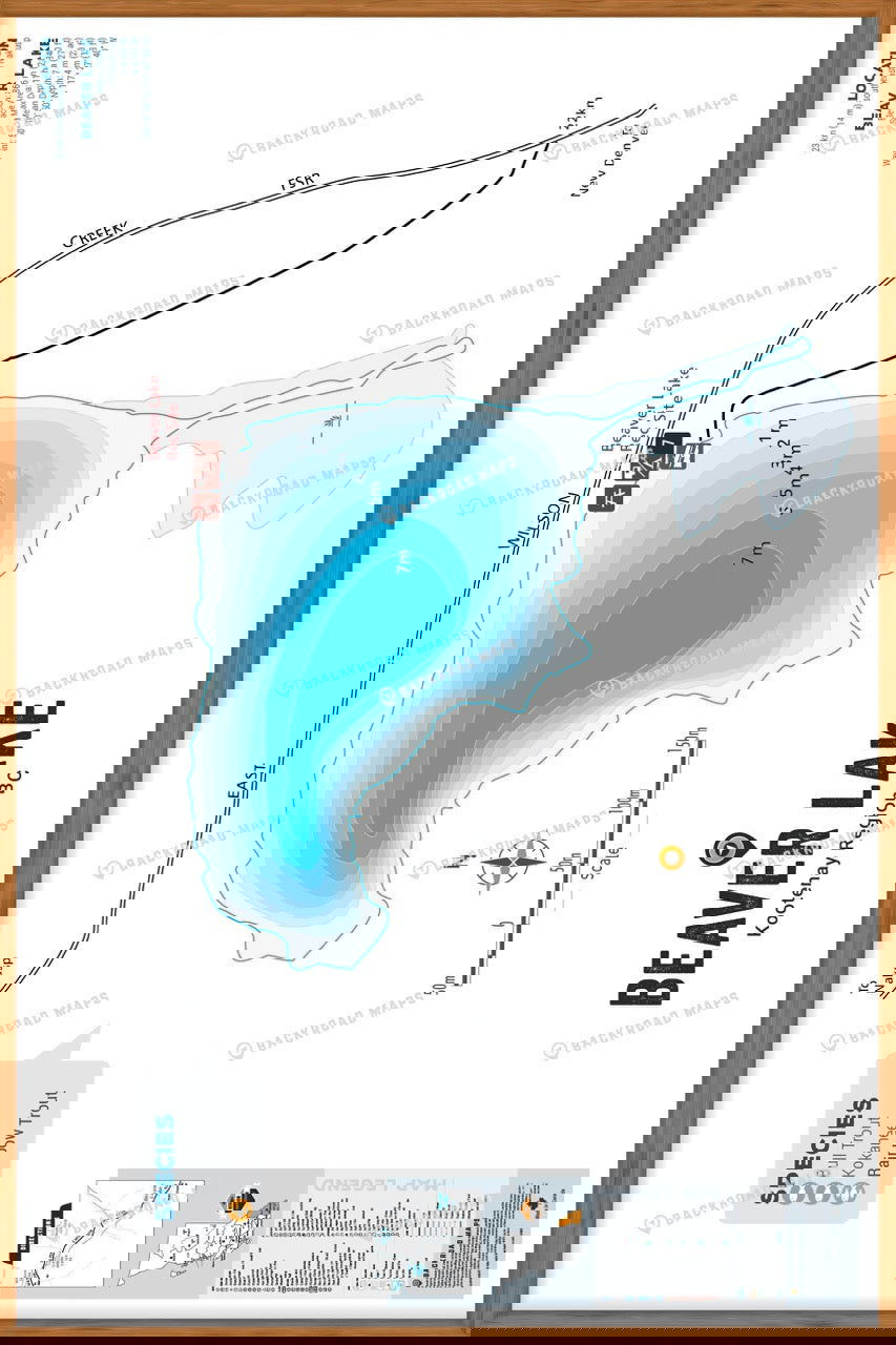 FKRBC27 Beaver Lake - Nakusp - Wall Map - Backroad Maps