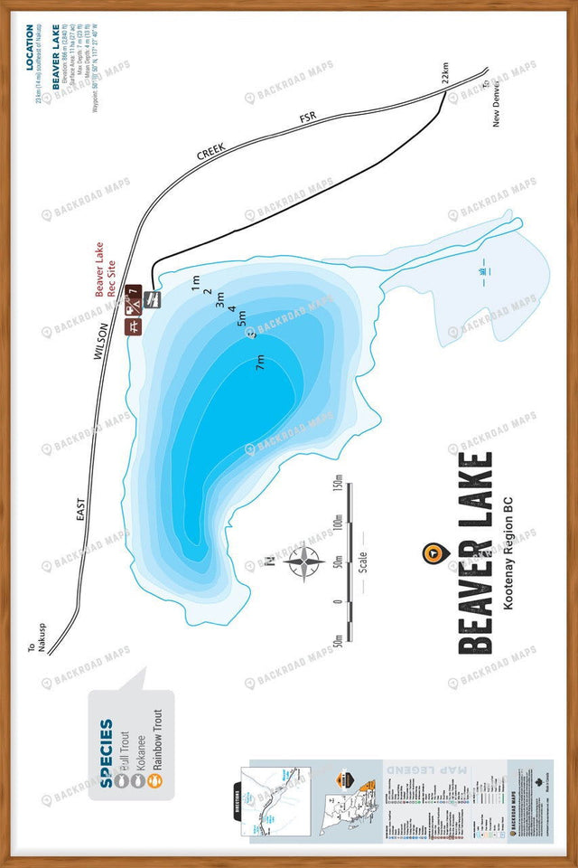FKRBC27 Beaver Lake - Nakusp - Wall Map - Backroad Maps