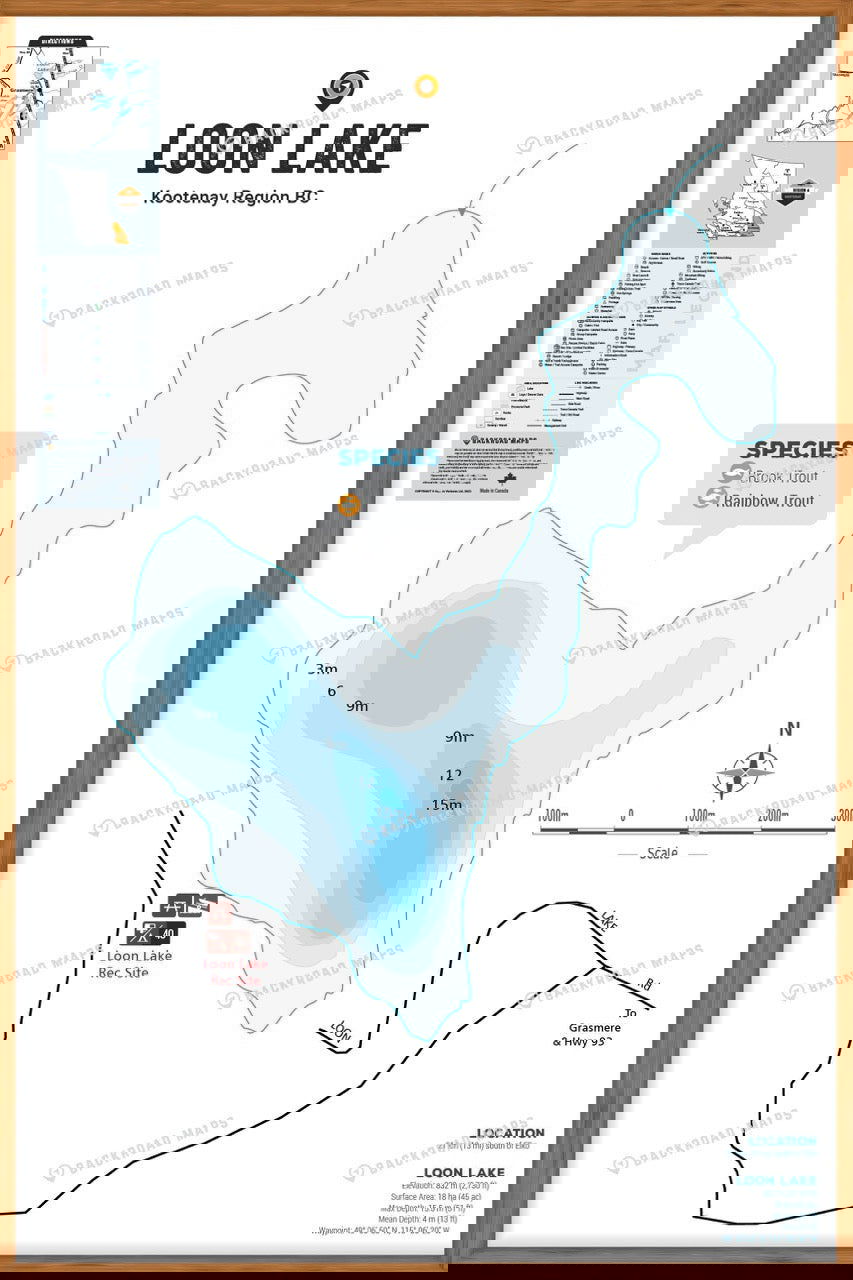 FKRBC78 Loon Lake - Elko - Wall Map - Backroad Maps