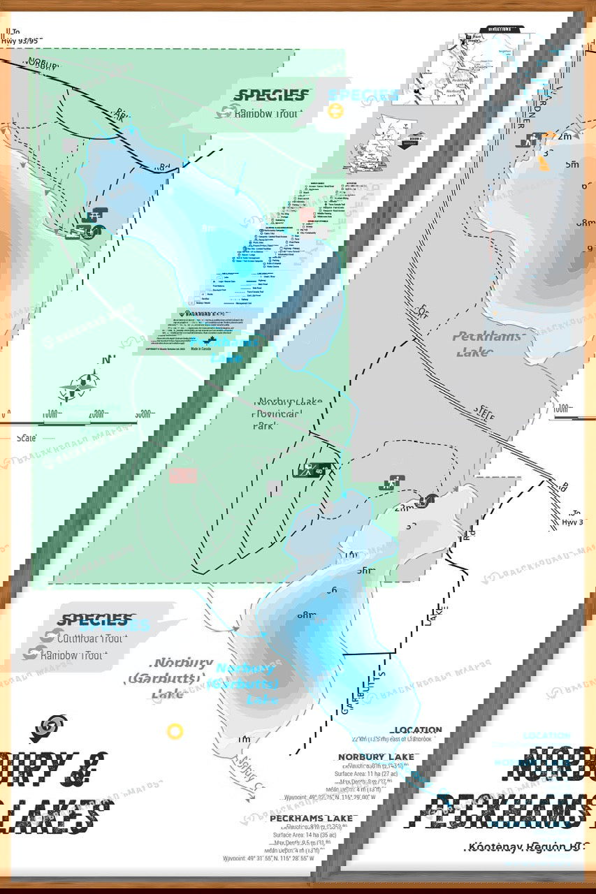 FKRBC89 Norbury & Peckhams Lakes - Wall Map - Backroad Maps